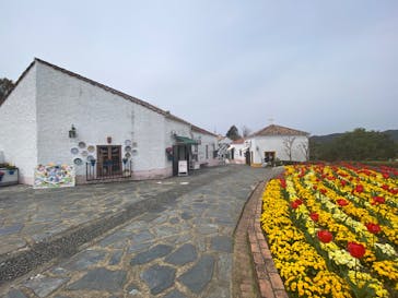 志摩スペイン村パルケエスパーニャに投稿された画像（2025/4/9）