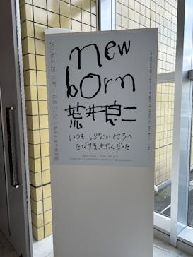 新潟市新津美術館に投稿された画像（2025/4/9）