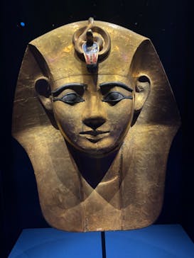 ACN ラムセス大王展 ファラオたちの黄金に投稿された画像（2025/4/9）