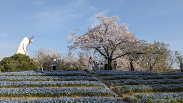 万博記念公園に投稿された画像（2025/4/9）