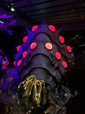 金曜ロードショーとジブリ展　三重展に投稿された画像（2025/4/9）