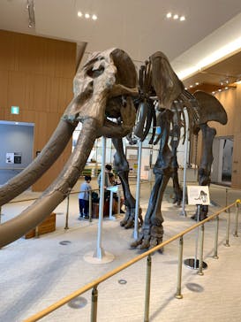 金曜ロードショーとジブリ展　三重展に投稿された画像（2025/4/9）