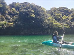 屋久島フィールド情報センターに投稿された画像（2025/4/9）