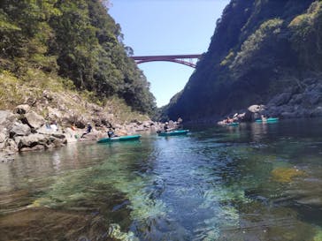 屋久島フィールド情報センターに投稿された画像（2025/4/9）