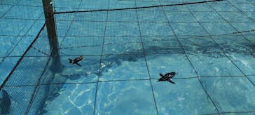 葛西臨海水族園に投稿された画像（2025/4/9）