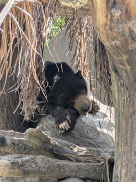 沖縄こどもの国に投稿された画像（2025/4/9）