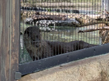沖縄こどもの国に投稿された画像（2025/4/9）