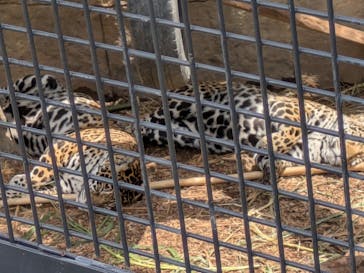 沖縄こどもの国に投稿された画像（2025/4/9）