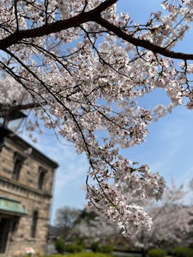 博物館 明治村に投稿された画像（2025/4/9）