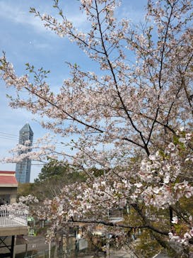 名古屋市東山動植物園に投稿された画像（2025/4/9）