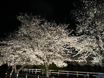 東武動物公園に投稿された画像（2025/4/9）