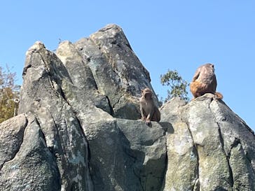 東武動物公園に投稿された画像（2025/4/9）
