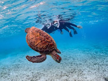 SUNSHINE MARIN 宮古島に投稿された画像（2025/4/9）