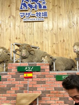 マザー牧場に投稿された画像（2025/4/9）