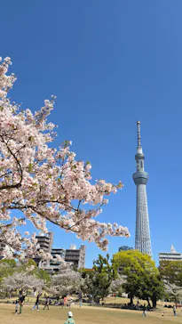 東京スカイツリーに投稿された画像（2025/4/9）