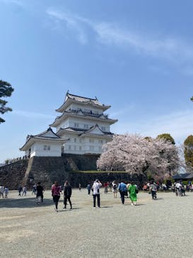 小田原城に投稿された画像（2025/4/9）