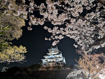 大阪城公園 西の丸庭園に投稿された画像（2025/4/9）