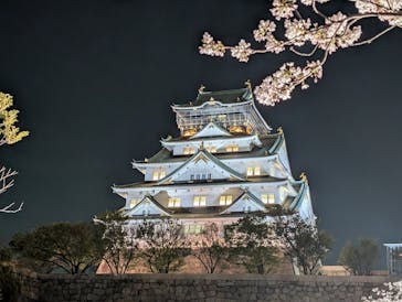 大阪城公園 西の丸庭園に投稿された画像（2025/4/9）