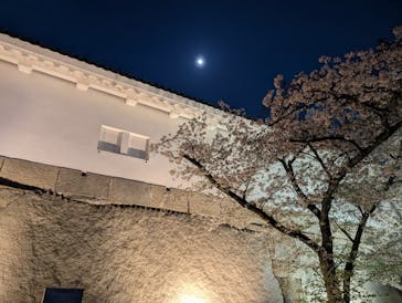 大阪城公園 西の丸庭園に投稿された画像（2025/4/9）