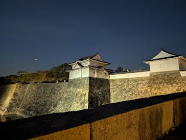大阪城公園 西の丸庭園に投稿された画像（2025/4/9）