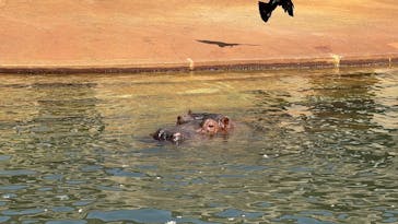 名古屋市東山動植物園に投稿された画像（2025/4/9）