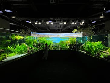 カワスイ 川崎⽔族館に投稿された画像（2025/4/10）