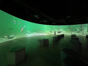 カワスイ 川崎⽔族館に投稿された画像（2025/4/10）