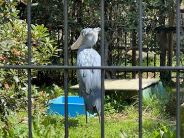 千葉市動物公園に投稿された画像（2025/4/10）