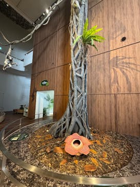 千葉市動物公園に投稿された画像（2025/4/10）