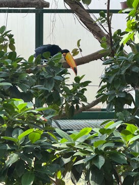 千葉市動物公園に投稿された画像（2025/4/10）