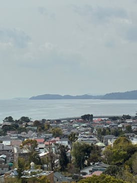 小田原城に投稿された画像（2025/4/10）