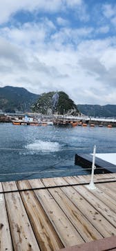 うみたま体験パーク 「つくみイルカ島」に投稿された画像（2025/4/10）