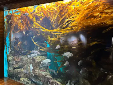 仙台うみの杜水族館に投稿された画像（2025/4/10）