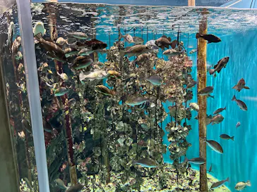 仙台うみの杜水族館に投稿された画像（2025/4/10）