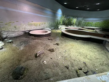 仙台うみの杜水族館に投稿された画像（2025/4/10）