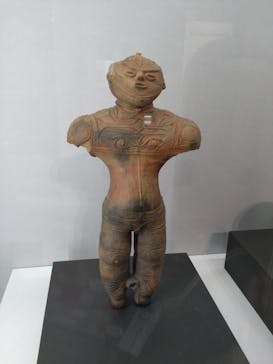 特別展「古代DNA－日本人のきた道」（国立科学博物館）に投稿された画像（2025/4/10）