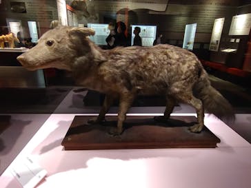 特別展「古代DNA－日本人のきた道」（国立科学博物館）に投稿された画像（2025/4/10）