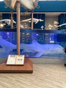 マリンワールド海の中道に投稿された画像（2025/4/10）