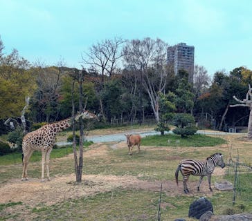 天王寺動物園に投稿された画像（2025/4/10）