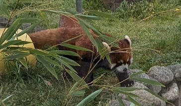 天王寺動物園に投稿された画像（2025/4/10）