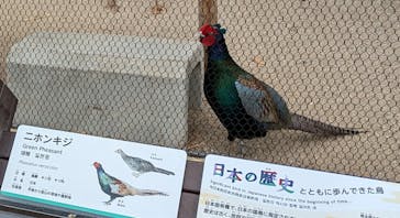 天王寺動物園に投稿された画像（2025/4/10）