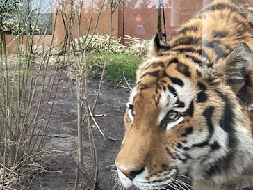 那須どうぶつ王国に投稿された画像（2025/4/10）