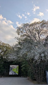 相国寺承天閣美術館開館40周年記念『相国寺展ー金閣・銀閣 鳳凰がみつめた美の歴史』（東京藝術大学大学美術館）に投稿された画像（2025/4/10）