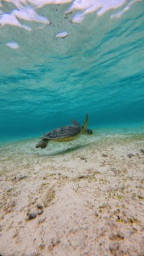 nico 宮古島に投稿された画像（2025/4/10）