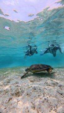 nico 宮古島に投稿された画像（2025/4/10）