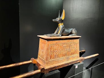 MYSTERY OF TUTANKHAMEN 体感型古代エジプト展に投稿された画像（2025/4/10）