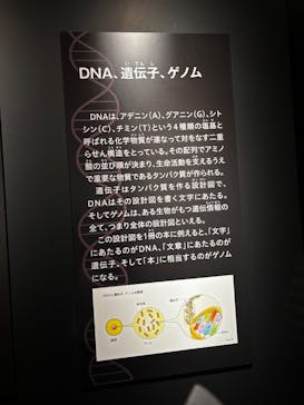 特別展「古代DNA－日本人のきた道」（国立科学博物館）に投稿された画像（2025/4/10）