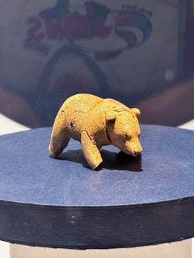 特別展「古代DNA－日本人のきた道」（国立科学博物館）に投稿された画像（2025/4/10）