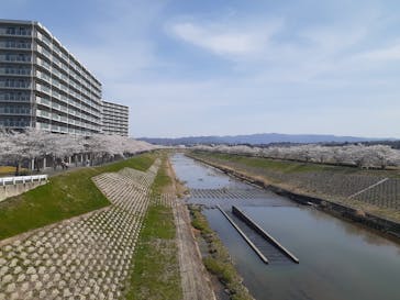 三田市総合案内所に投稿された画像（2025/4/10）