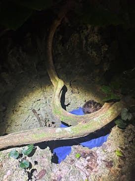 宮古島マリンショップSmileyに投稿された画像（2025/4/10）